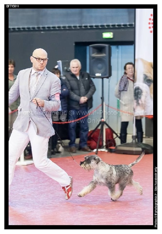 de Vincours - Lord Laouenki de Vincours BOB Puppy à Troyes :)