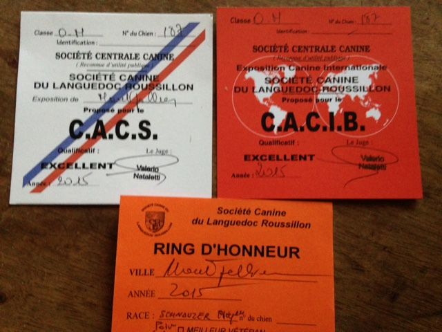 de Vincours - Montpellier, Erofeich CACS CACIB Meilleur de Race et Ch Inter !