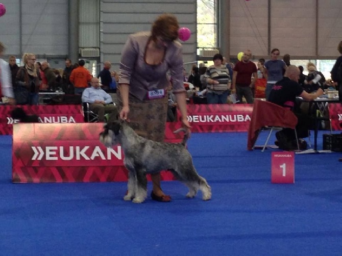 de Vincours - Championnat d'Europe Brno 2014 !