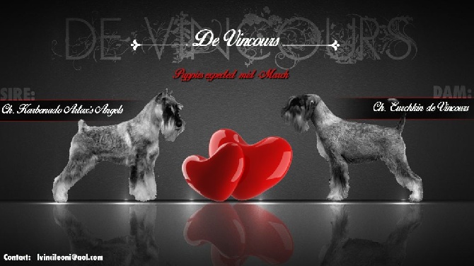 de Vincours - Les bébés sont nés le 16/03 ;)