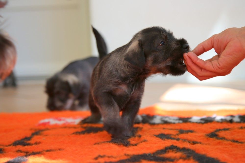 de Vincours - Séance photo des bébé !